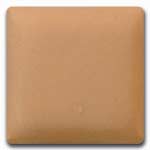 NS-121 Warm Blush Liquid Slip