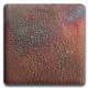 Spectrum 880 Armadillo Glaze