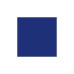 Mason 6308 DelphiniumStain