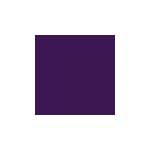 Mason 6385 Pansy Purple Stain