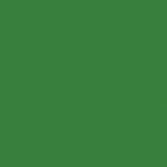 Mason 6206 Grass Green Stain