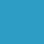 Mason 6315 Zr Vn Blue Stain