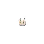 9-4 Star Stilts (Set of 12)