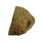 Natural Sponge Elephant Ear