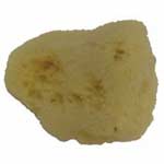 Natural Sponge Silk