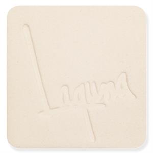WC610 Miller #66 Cone 5 Mid Range Ceramic Clay