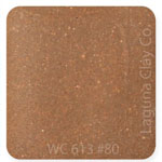 WC613 Miller #80 Cone 5 Mid Range Ceramic Clay